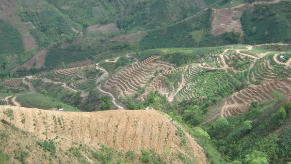 紅河州元陽縣南沙鎮(zhèn)石頭寨村土地整治（補(bǔ)充耕地）項(xiàng)目